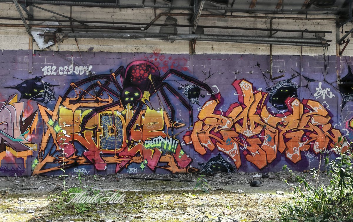 MarikArtsy's tweet photo. Spidey came uninvited. No need to wonder how tight is the grasp 😂
(Also, nice play on the completion of colours with orange and purple)
#fresque #streetart #urbex #graffiti https://t.co/FGDq7xWo65