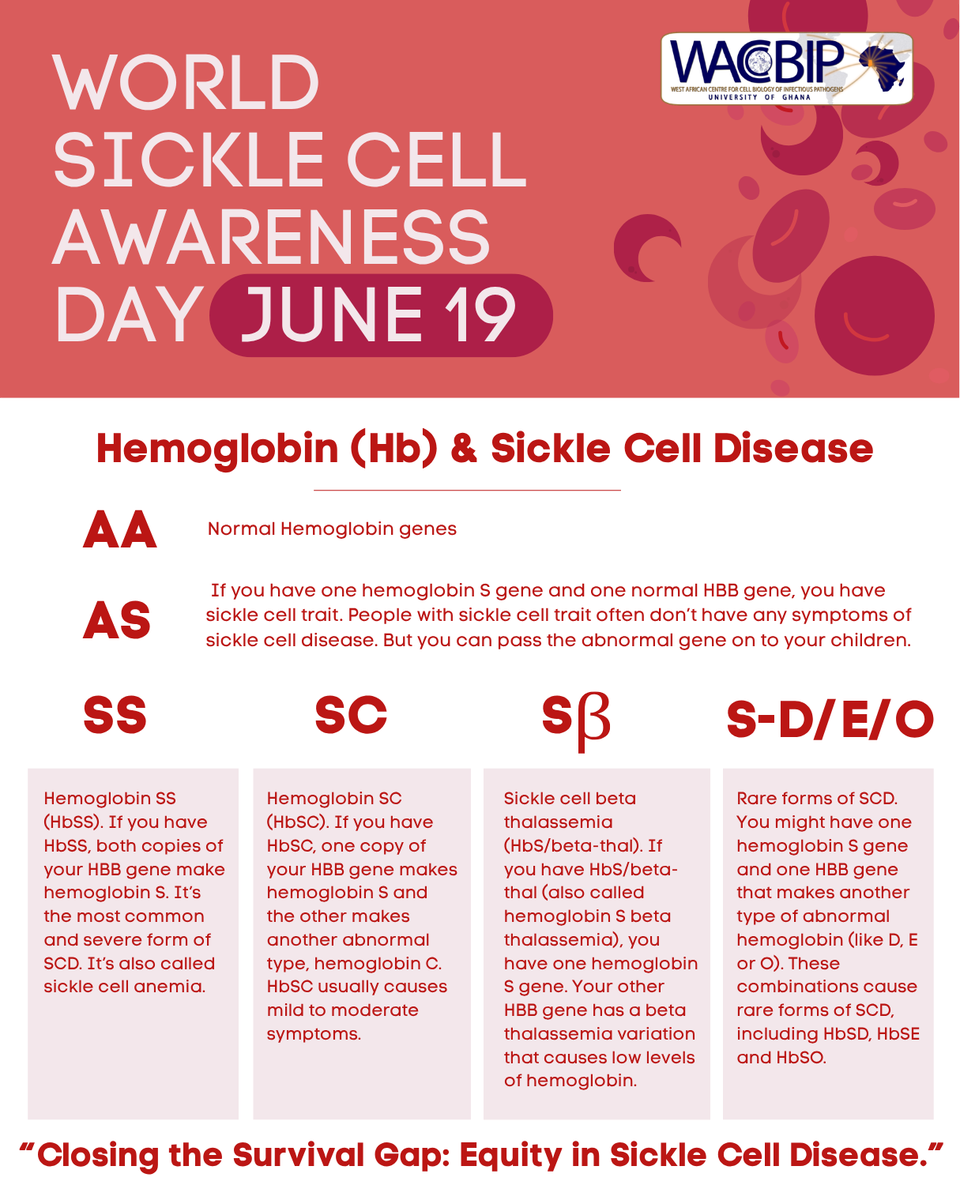 WACCBIP_UG's tweet photo. Understanding Sickle Cell Disease helps in closing the survival gap and bringing equity in sickle cell health. This year's #WorldSickleCellDay we're putting up a clearer picture of what sickle cell disease really means.  

#HealthForAll #Africa #WHO #Science #Research https://t.co/wvGCzBYwSF
