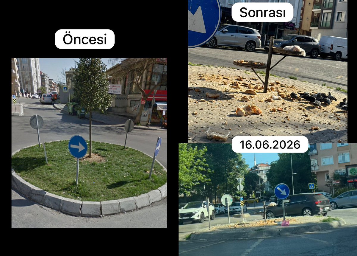 Heiberil's tweet photo. @NiluferSabuncu @uskudarbld @umraniyebeltr @sdedetas @ismetyildirimtr @IBBcozummerkezi @ibb_veteriner Ağacı kesmek, yeşil alanı söküp taş döşemek ve metal aparat takıp pis görüntüye sebep olmak kimin fikriydi acaba @uskudarbld 

Bu kötü görüntü sizin döneminizde oluştu @sdedetas !!

Utanç verici değil mi? 
Malesef LİKAYATSİZLİK örneği  bu👇🏻 https://t.co/pXopIVTNEN