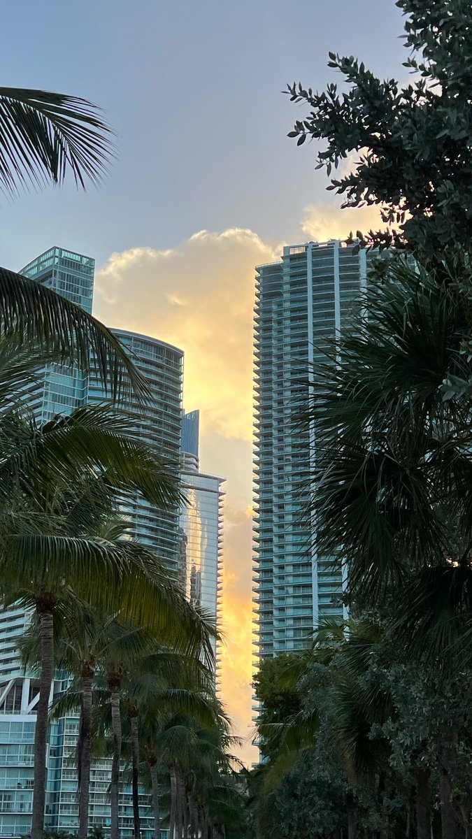 robbi_1024's tweet photo. Freedom is finding beauty in every sunrise and peace in every step of the journey. Today, we honor the resilient spirit that brought us here. Happy Juneteenth! May your Friday be filled with reflection and love. 
 #Juneteenth #MiamiSoul  #FreedomDay https://t.co/xRpdJ1Yz4s