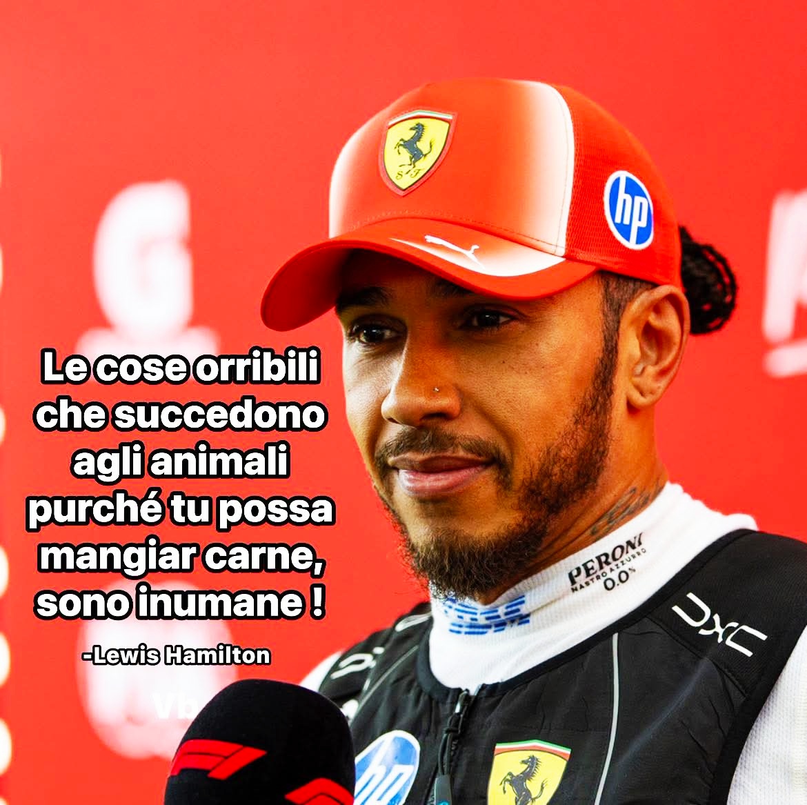 gianni_runco's tweet photo. Per produrre carne gli animali vengono macellati brutalmente... Sembrerà strano ma è così... #lewishamilton #govegan #animalrights #veganism #crueltyfree #Vegan #nomeat #plantbased #animallovers #vegano #veganworld #empatia #animalliberation #NoDairy #compassion #vegetables https://t.co/inkjLdbgzX