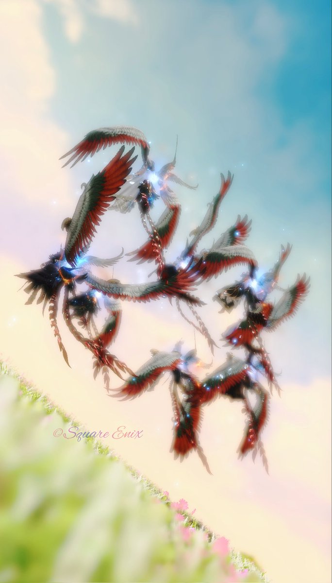 su_iFF14's tweet photo. ❣⃛ցօօժ ʍօɾղíղց❣⃛

極ヴァリガルマンダ 〜完〜🐓
#FF14SS

極ゾニキ編スタートです🦎
我が名は吹き飛ばし絶対あさっての方向に飛んでいくマン！
飛んでいく角度は何由来？向き？立ってる位置？？どうすれば向こうの床に着地できるのか教えて強い人🥹 https://t.co/fuysPB86ct