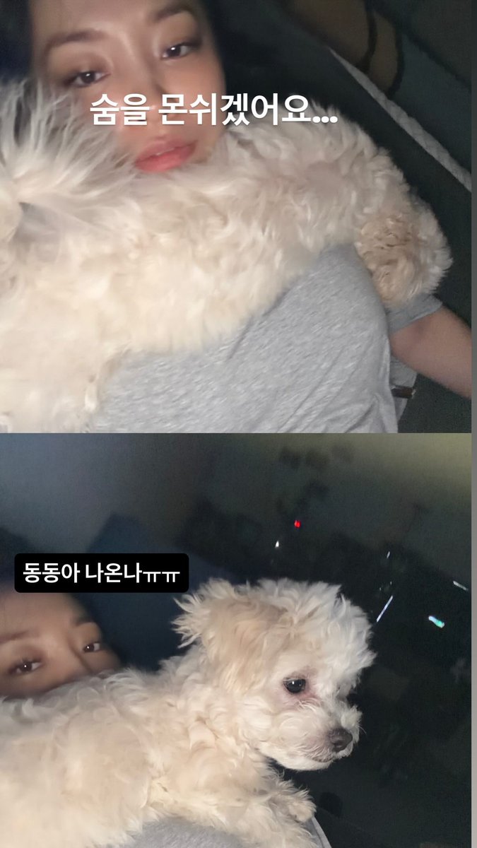 commxovere's tweet photo. This baby doesn't want to get off me and can't breathe. ㅋㅋㅋㅋ https://t.co/1SpWcFoxnX