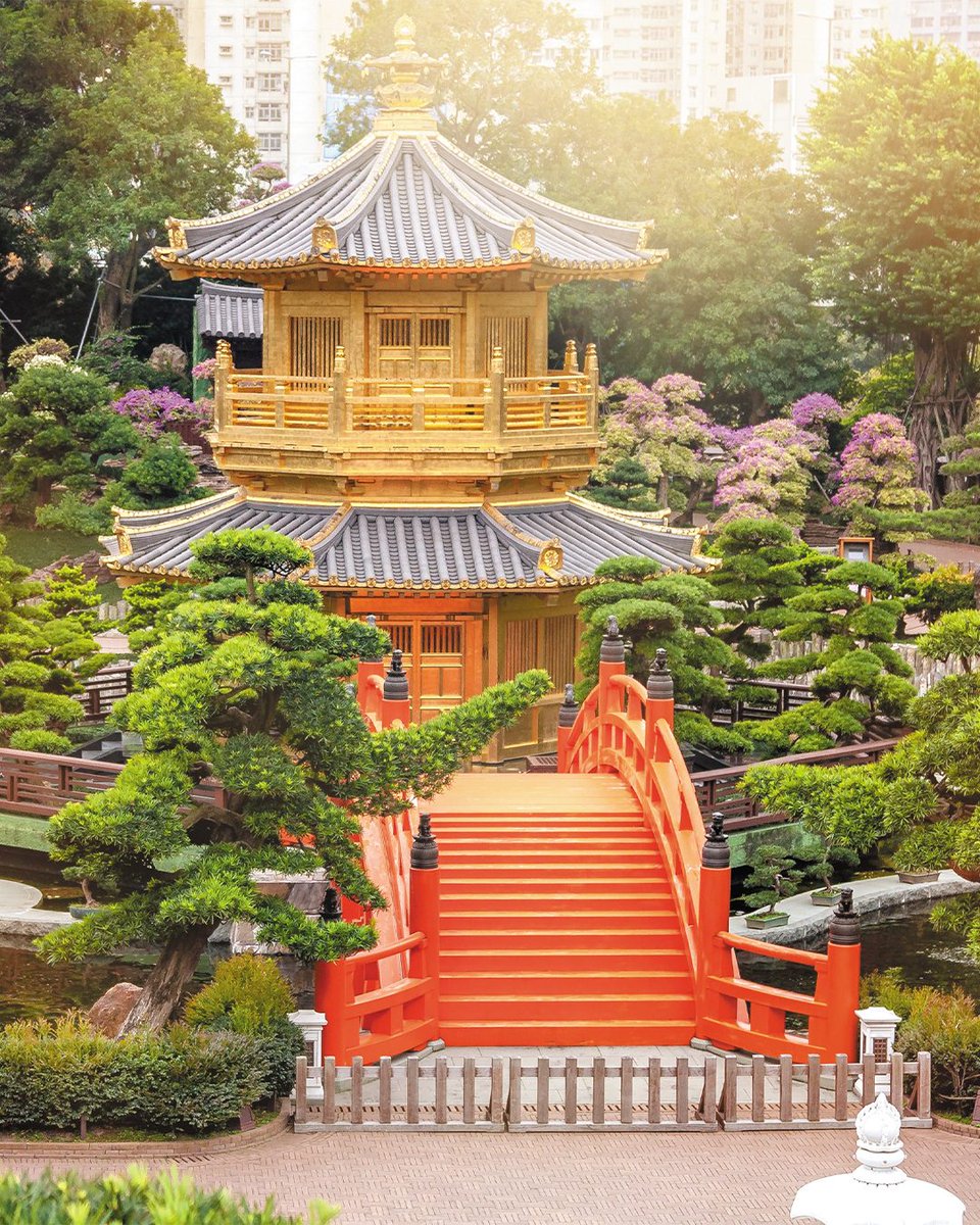 regentcruises's tweet photo. Ancient traditions, soaring skylines and unforgettable perspectives. 

Discover this immersive Iconic Exploration and experience one of Asia’s most captivating cities. https://t.co/2iQTQuwFP2 #ExperienceTheUnrivaled https://t.co/xk0OdYMeXQ