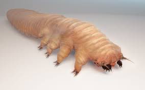 2 pic. Remember, no matter how lonely and isolated you may feel—you’re NEVER alone (we all have hundreds to thousands of eight-legged arachnids called Demodex mites that live in our eyebrow and eyelash follicles) https://t.co/u4r6GKJZnv