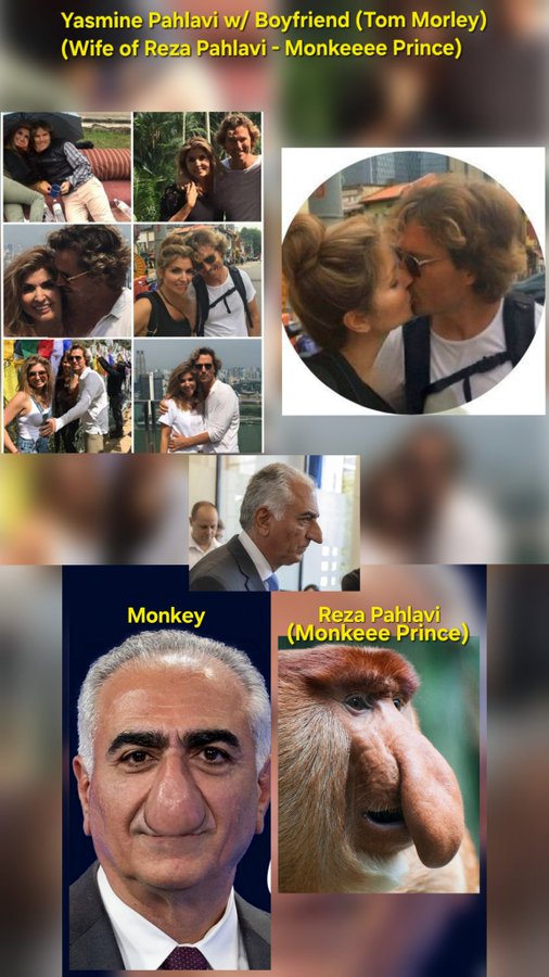 El Patron tweet media