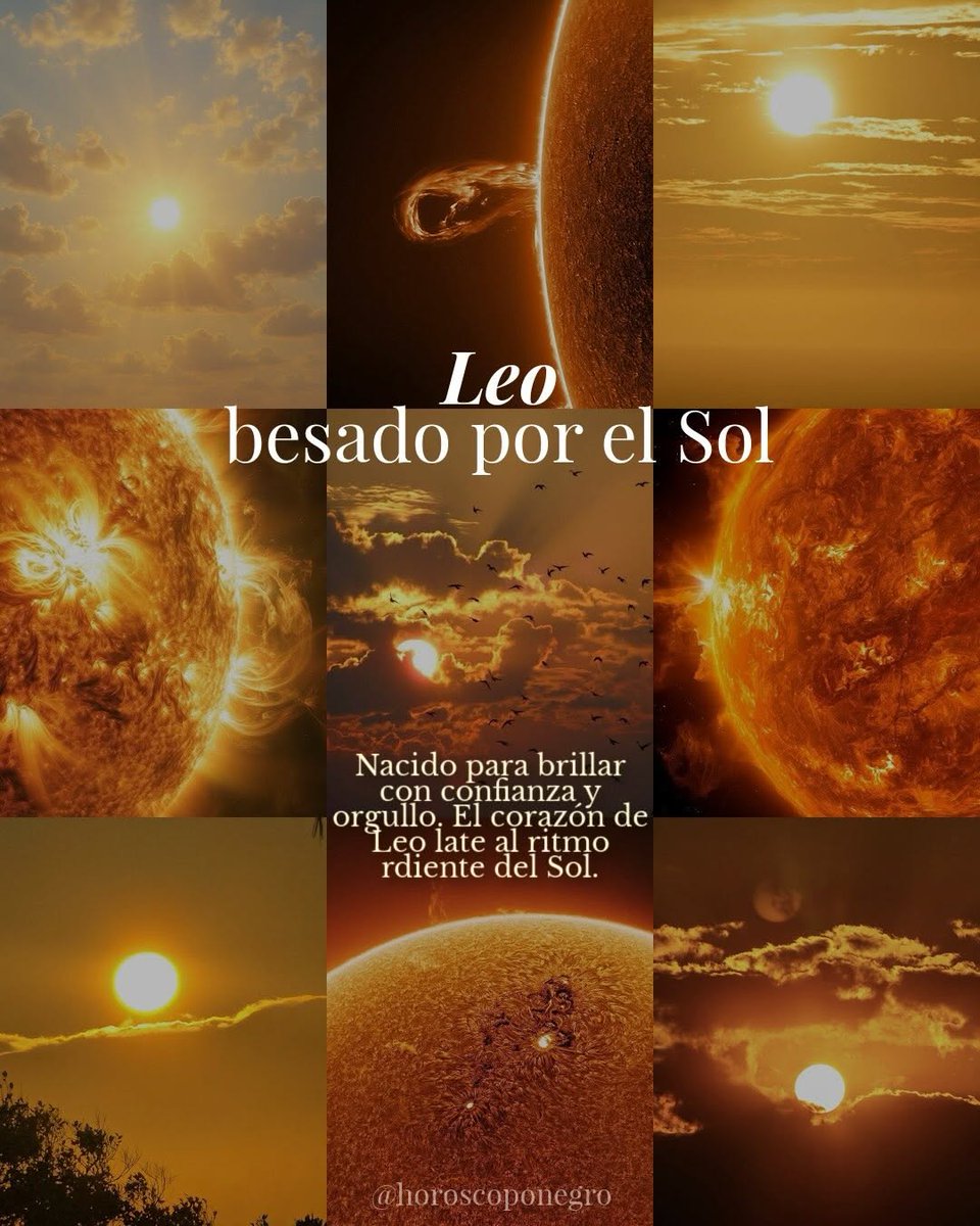 leo_hnegro's tweet photo. ✨ 🖤 ✨ https://t.co/OKgug7iqGy