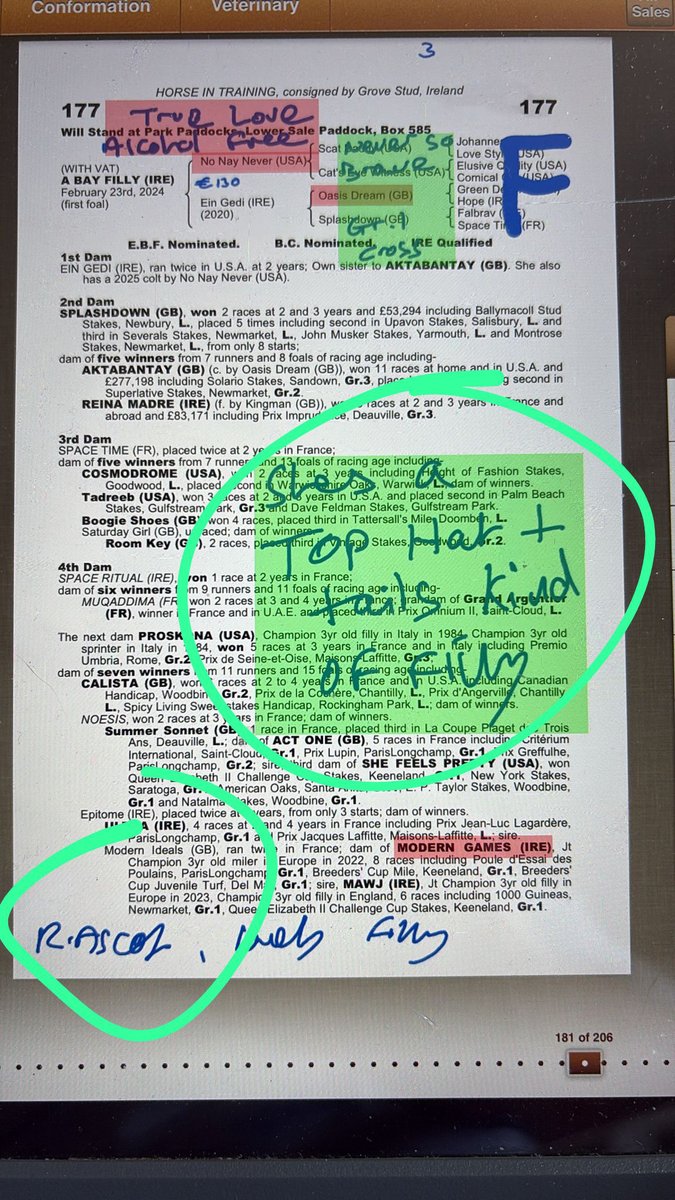 Tattersalls1766's tweet photo. Auctioneer @olliefowlston's pre-sale notes on Albany Stakes winner Libertango before she fetched 400,000gns from @rob_speers on behalf of Ibrahim Araci's Old Mill Stud at the #TattsCraven Breeze Up Sale.

"She's a top hat + tails kind of filly" 📷 https://t.co/gblBeHWV2D