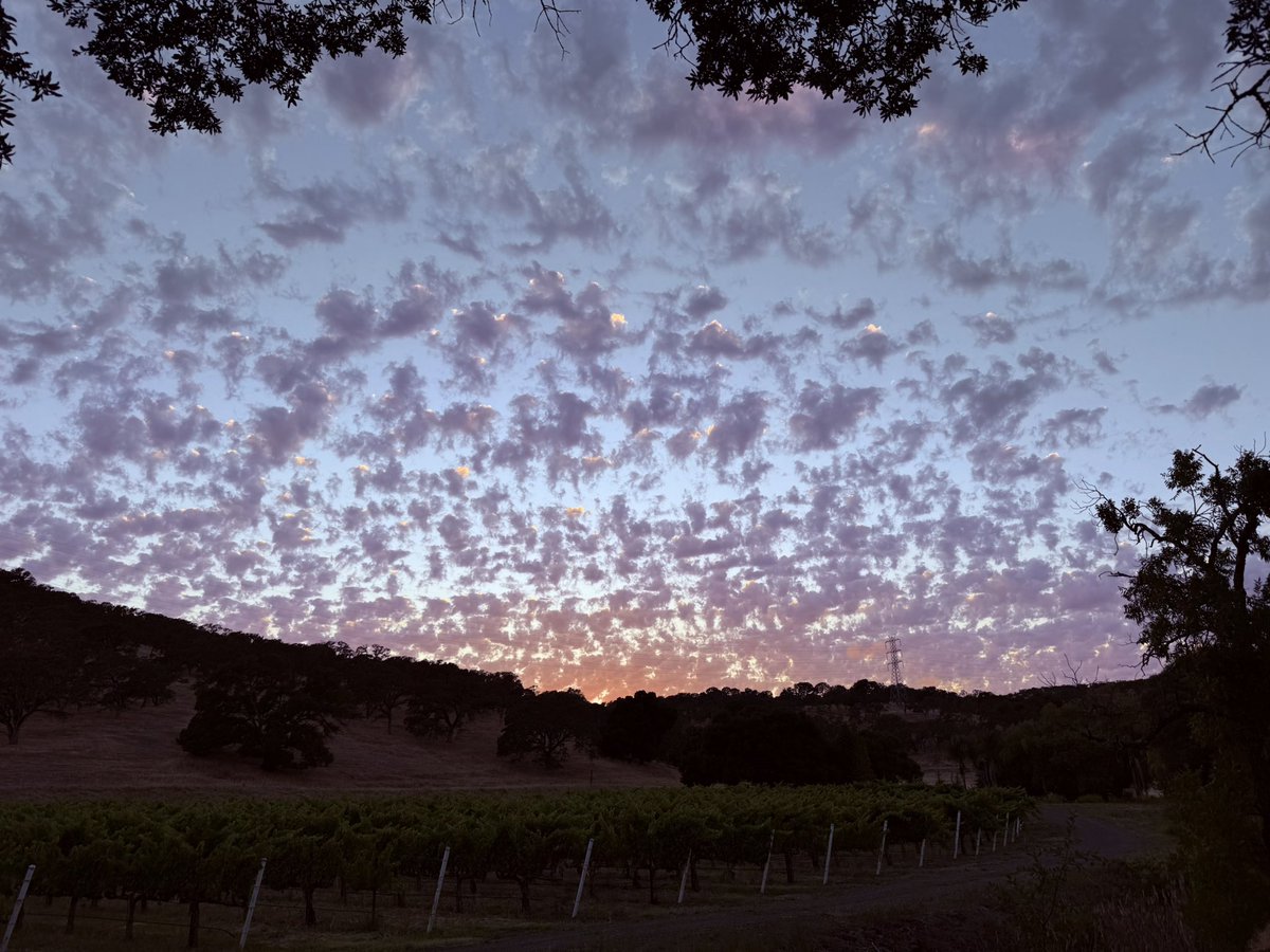 dewin707's tweet photo. Suisun Valley, CA https://t.co/yavqiqugQb