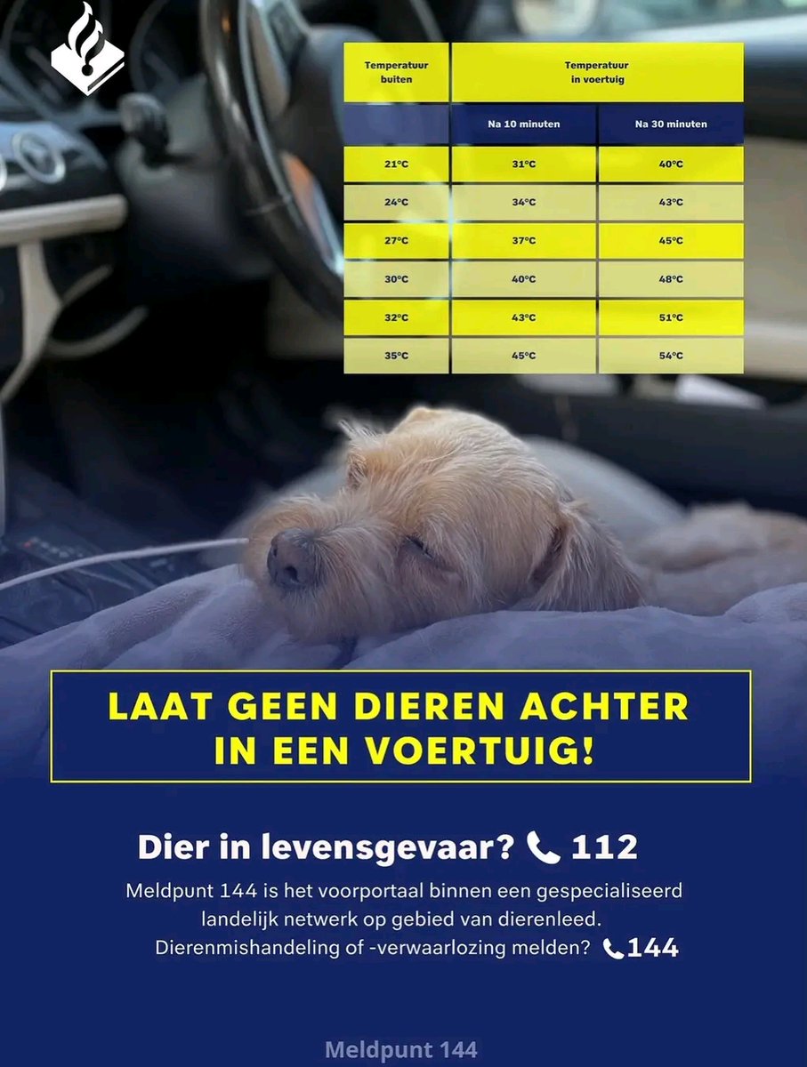 POL_Almere_Stad's tweet photo. 🚨 Wees alert! 👀

🌡️☀️ Met deze hitte: laat nooit jouw 🐶🐱🐰 in de 🚗 achter!

Zie je toch een dier in een hete auto? 🚗🔥
📞 Bel altijd 1️⃣1️⃣2️⃣! 🚔🚑🚒
#WeesAlert #Hitte #Dierenwelzijn #Bel112 🐾❤️ https://t.co/ys1HiozNhg