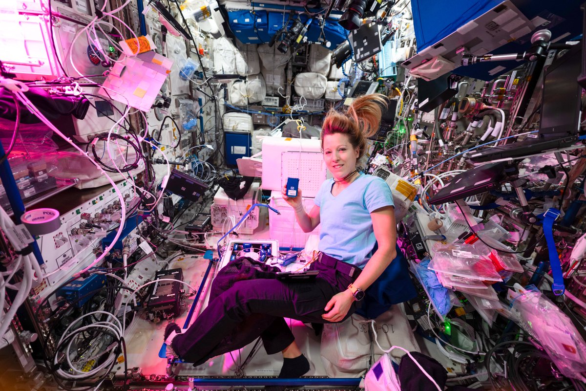 Soph_astro's tweet photo. Day 126, orbit 1954 — Bone is a living tissue: to stay strong, it needs to feel the steady pull of gravity when we stand, move, and exercise. Take that away, and it weakens fast – one of the reasons astronauts spend around two hours exercising every day. But this isn’t just an astronaut problem: on Earth too, aging, disease or injury can reduce this loading, making it harder for bones to heal or stay strong.

Onboard the International Space Station, the GreenBone Ortho commercial experiment, supported by the ESA BASS and BSGN programs, turns this challenge into an opportunity. In microgravity – where bone loss happens much faster – GreenBone Ortho is testing b.Bone™, a biomimetic scaffold with human bone cells. It has already shown promising results on Earth in non-osteoporotic patients, and the Station offers a unique opportunity to assess its performance in an environment that closely mimics key aspects of osteoporosis, before moving into dedicated clinical trials.

It’s a powerful example of what space research can offer: a unique way to move faster and open the way to better treatments for patients back on Earth. Go science!

📸 @esa / @NASA

#εpsilon • @esaspaceflight • @Space_Station • @nasajohnson