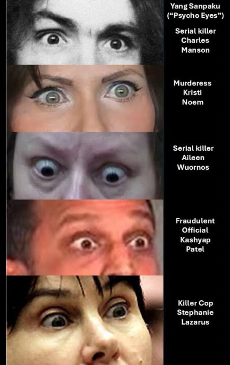 Ice5e9ar's tweet photo. @SistersInDanger Dia punya sanpaku eyes. Bawahnya cenderung sedikit melengkung ke atas dan panjang. Itu mata yg sering ditemukan di pembunuh berantai. 
Dia sudah 3 tahun menyekap korban jadi dia mata barisan ke tiga meskipun belum full mirip yg ketiga https://t.co/ZEL3XeNHU7