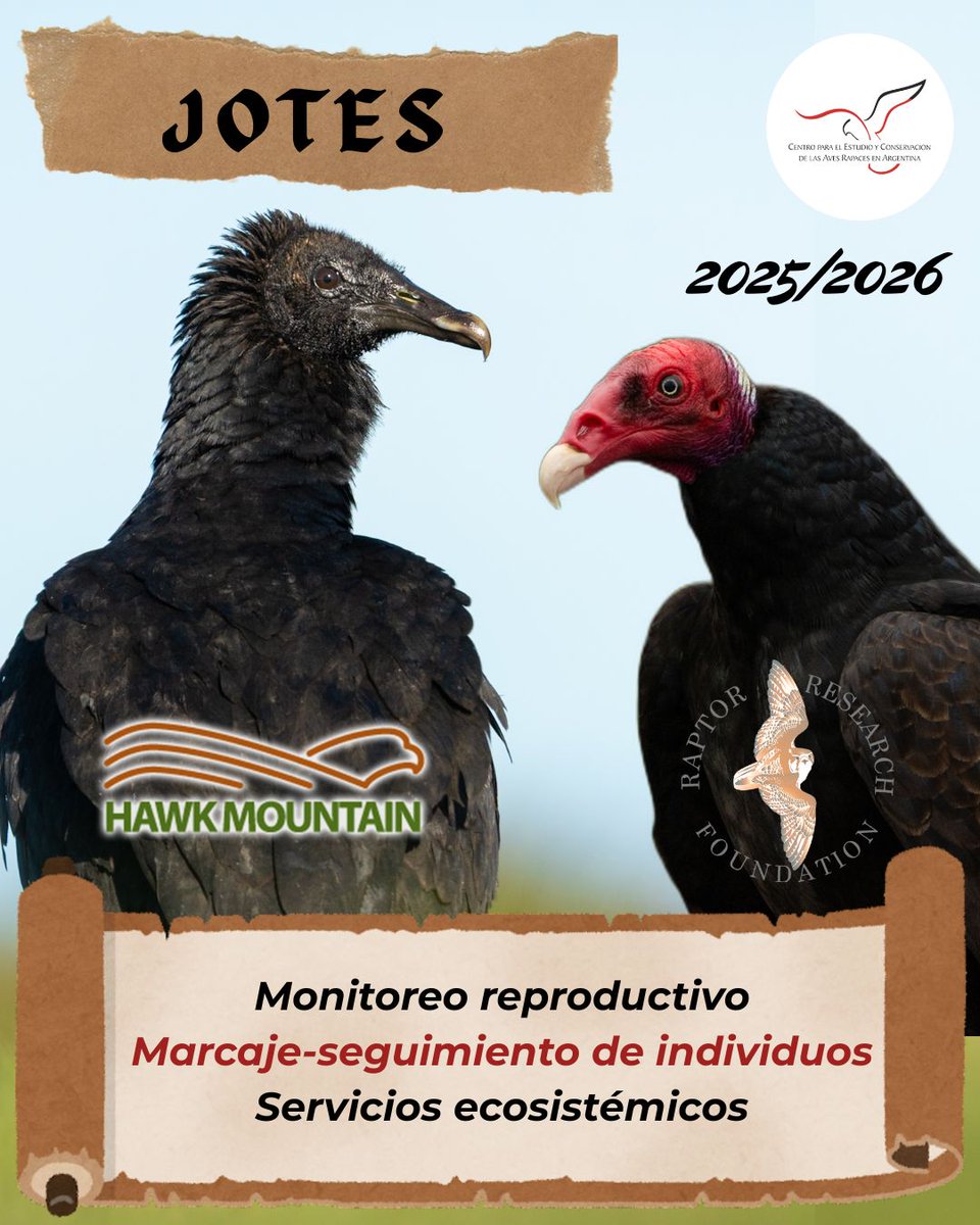 CECARA_ARG's tweet photo. TEMPORADA DE CAMPO DE JOTES

¡¡Finalizamos una nueva campaña de campo del proyecto de Jotes del CECARA!!
.
We completed another field season for the CECARA Vulture Project!!

@Hawk_Mountain 
@research_raptor https://t.co/Xcs4xcHcxB