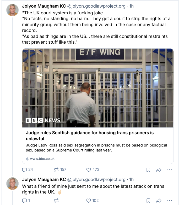 ForWomenScot's tweet photo. Jolly M repeats the line currently bandied about on Reddit - where was the representation of trans people?

Here's the thing. Scottish Trans, Stonewall, LGBTYS etc were perfectly entitled to intervene if they so wished. They didn't. That isn't our fault or the fault of the court. https://t.co/psNymgObQf