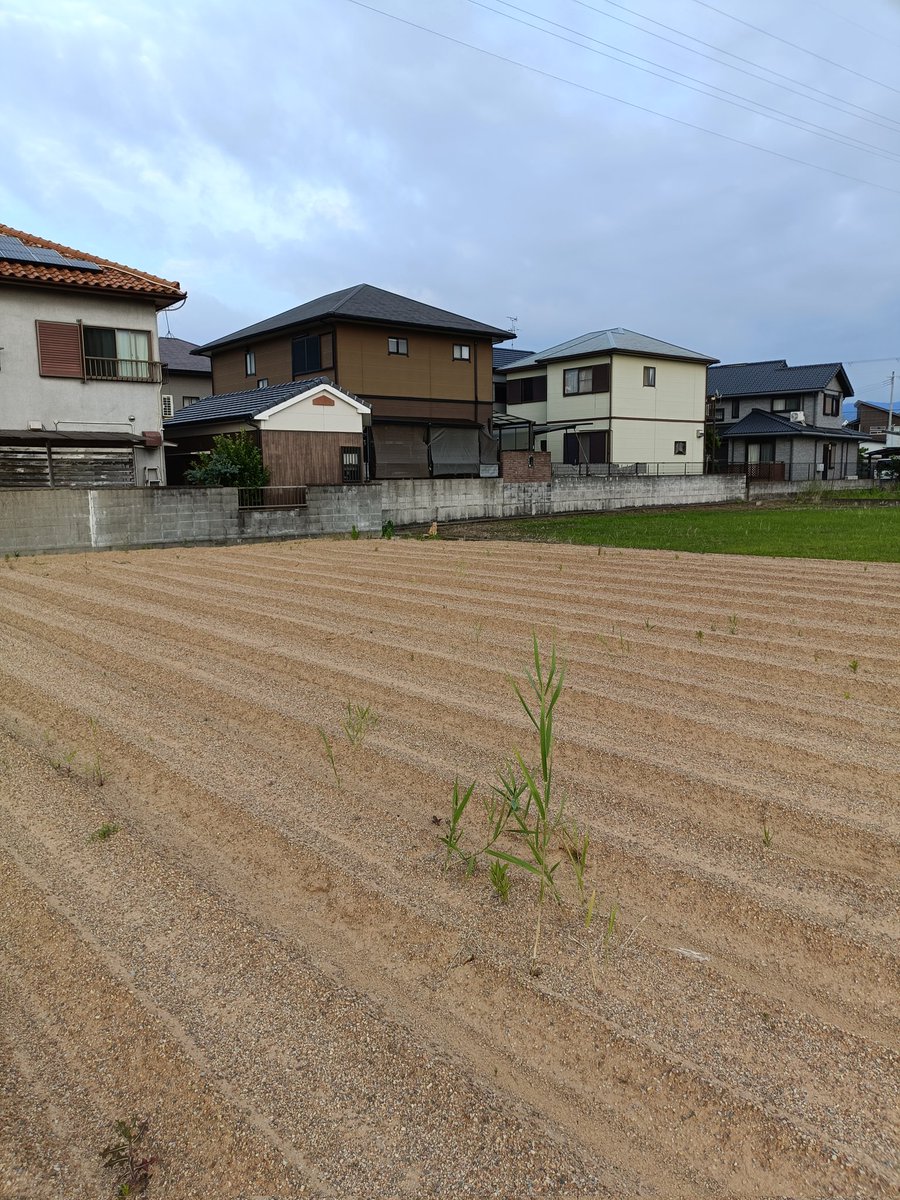 93187na's tweet photo. 今日の夕方の写真。きんとんがいるんす。 https://t.co/J5ps9S4kQ4