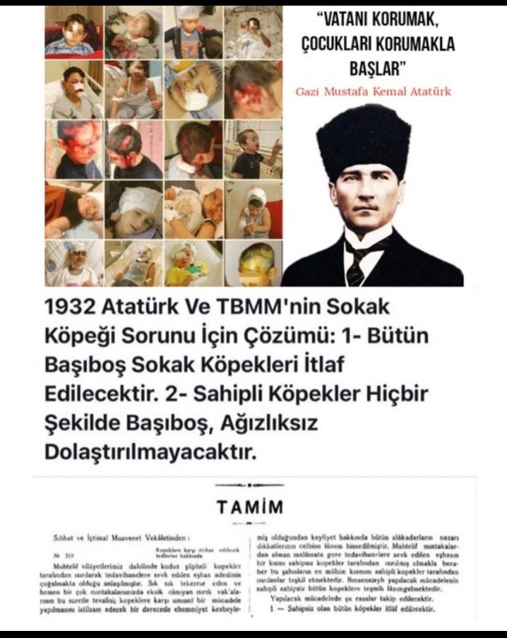 Fani tweet media