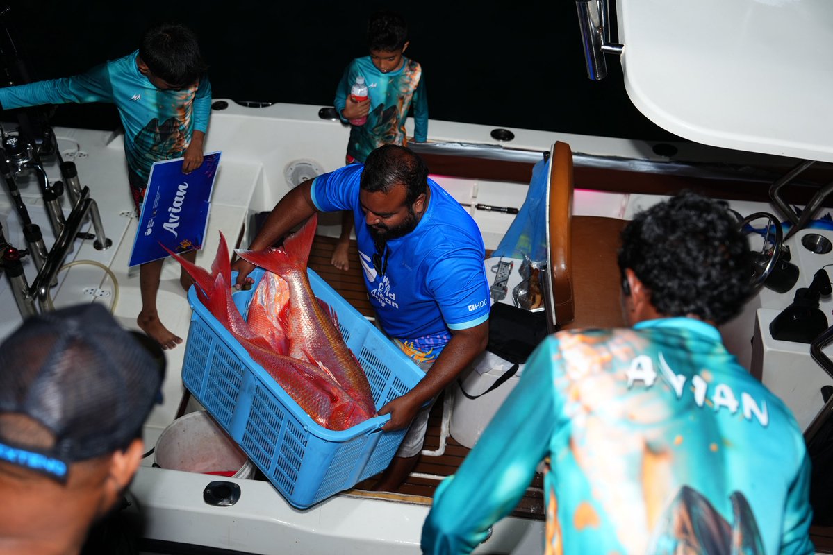 MFAORmv's tweet photo. https://t.co/W1d6mnV0CF