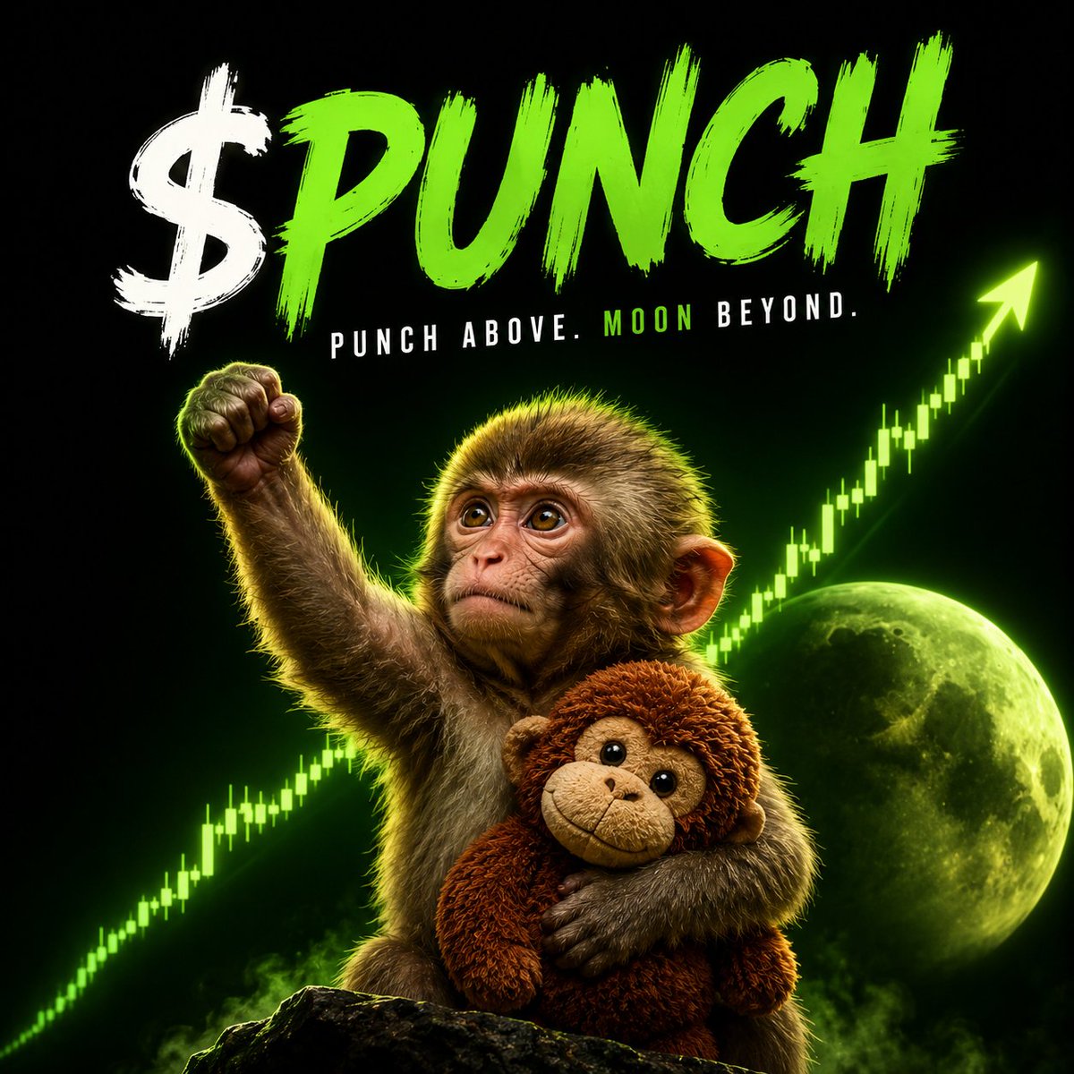 hedoescrypto's tweet photo. You don’t need a complicated narrative.

A monkey.
A story.
Millions of people who relate to it.

That’s why I’m betting on $PUNCH.

What’s your highest conviction meme right now? 👇 https://t.co/lPhqscn51h