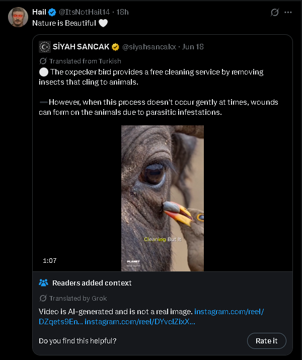 Correct Thing 🏴 tweet media
