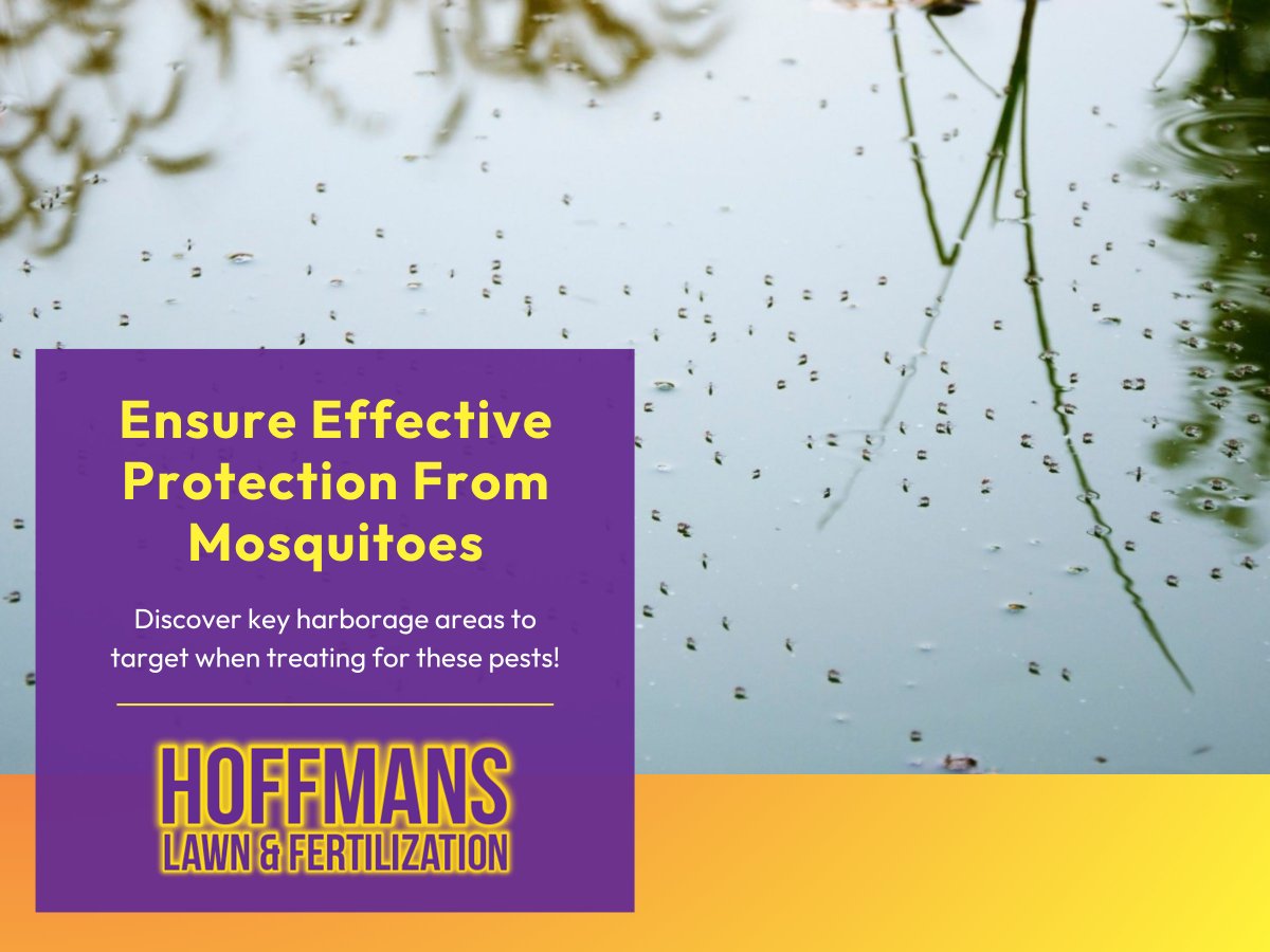 HoffmansLawn's tweet photo. Mosquito harborage areas refer to resting spots for mosquitoes during the day, such as dense vegetation, garden beds, and standing water. 🦟

Read our blog to learn more.

https://t.co/0MKsfK9J9H https://t.co/kBW1iwD836