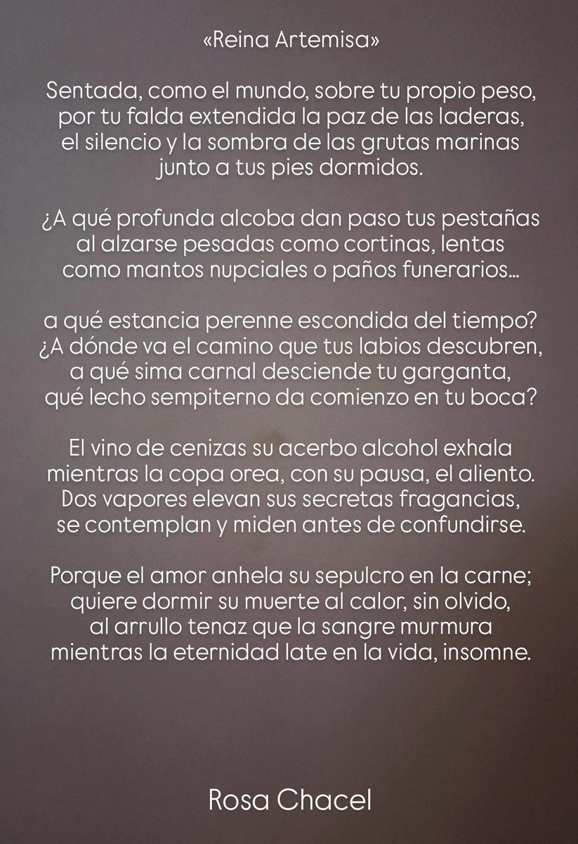 mafin_arg's tweet photo. Mientras Fina estaba exiliada intentando sobrevivir en Argentina,  Marta,rota, leía poemas de Rosa Chacel como éste  "Reina Artemisa".

"Porque el amor anhela su spulcro en la carne, quiere dormirsu muerte al calor sin olvido"... 😭❤️‍🩹

#Mafin https://t.co/bLCUAFKyd5