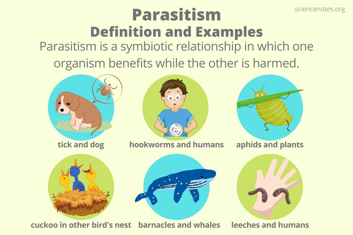 felinejaz's tweet photo. This is how every relationship I’ve ever had felt, except I’m the fucking organism that’s harmed https://t.co/J2Owgba74h