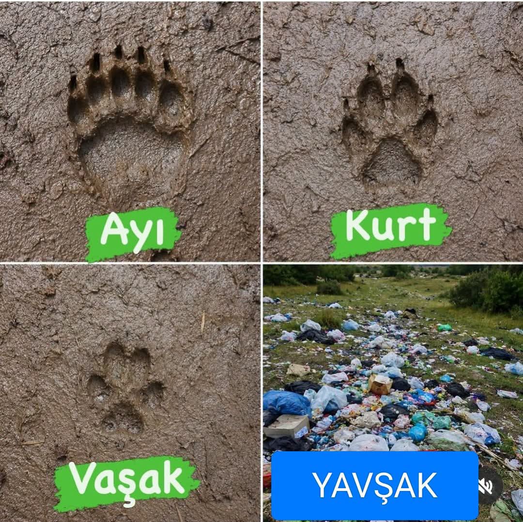 Dostbildiklerim's tweet photo. https://t.co/edaaHWXwsF