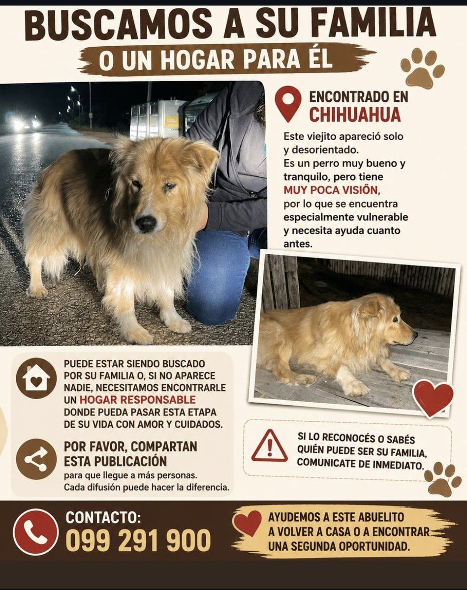 ClauLocura's tweet photo. Este veterano fue encontrado en Chihuahua, Maldonado 🇺🇾.
Quizá su familia lo esté buscando.
📱 Cel de contacto: 099 291 900 https://t.co/BQN7BermE1