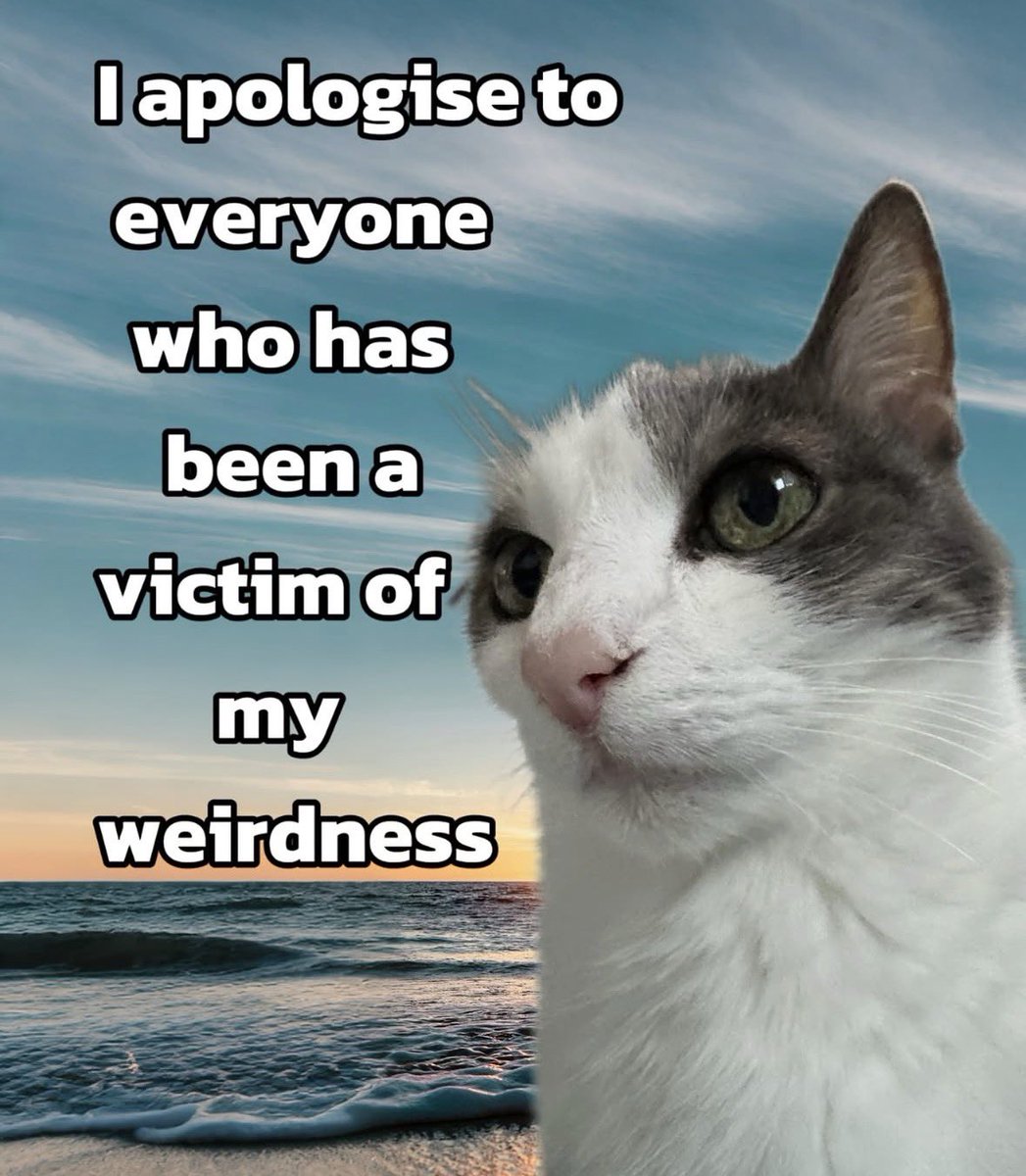 literallymecats's tweet photo. https://t.co/1kos32nSh0