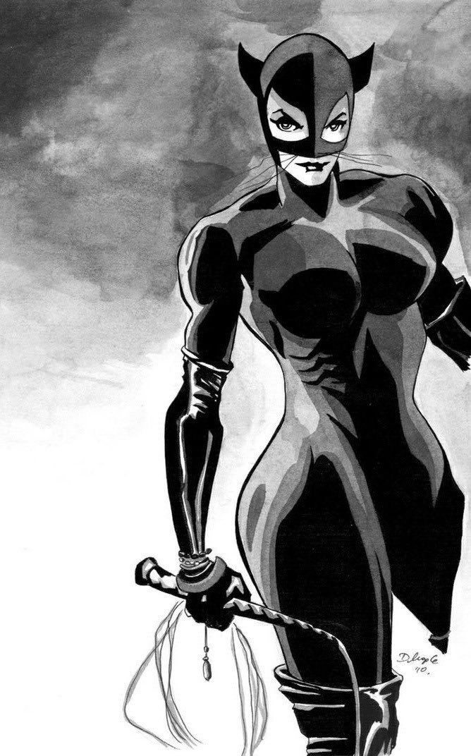 Catwomanlouvre's tweet photo. Selina Kyle IS muscular this not even a debate 💀 https://t.co/3FSkE38I7x