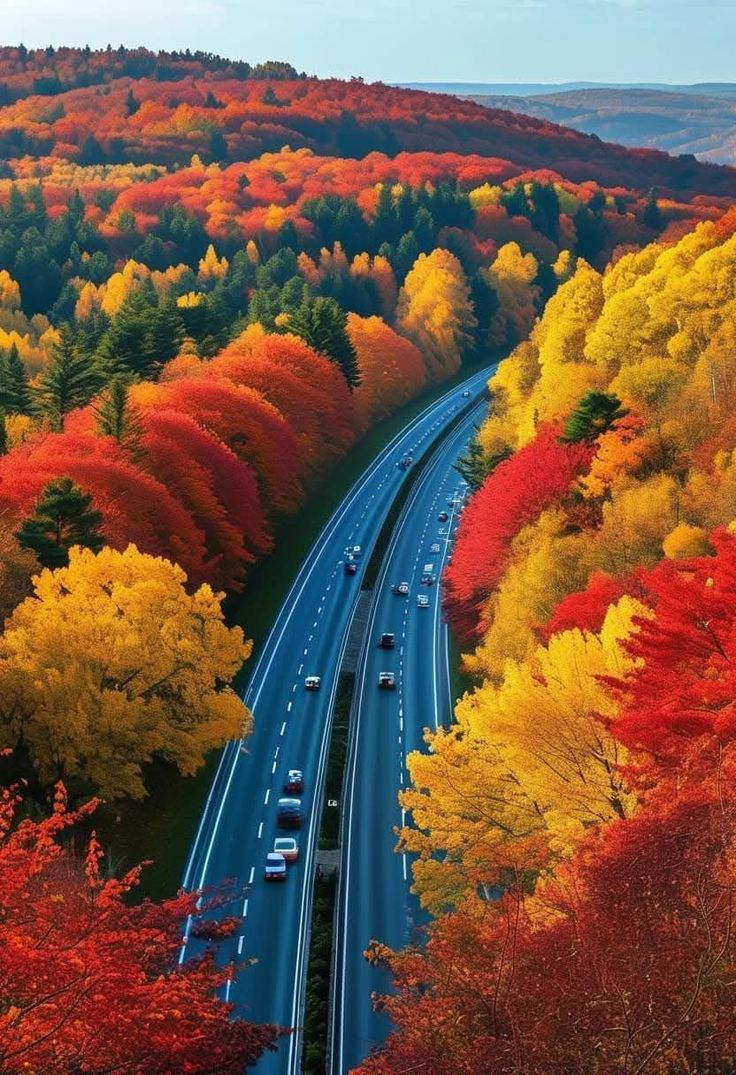Nature Lover🌎 tweet media