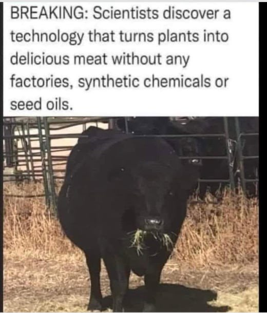 NotTheMoma2's tweet photo. $IFUS has a discovered a solution to #BillGates #Insects as #Protein menus, and $BYND Beyond Meats fake meat, and it already exists. @MikeSheikh2
@realsheepwolf @unusual_whales #Iran #China #Farmining #Ranching #Cattle #Dairy https://t.co/78cSGnKeQv