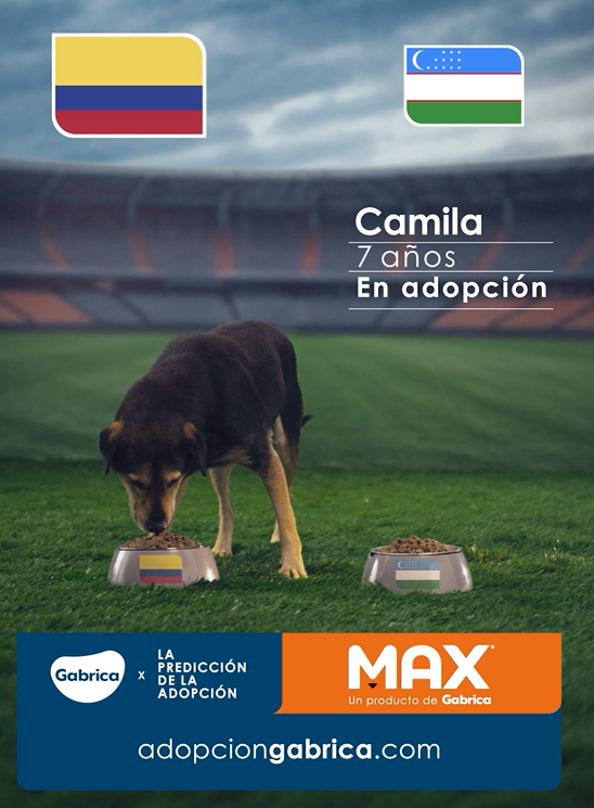 Ingeniebrita's tweet photo. Oigan, los perritos de #AdoptaconGabrica están demostrando que saben más de fútbol que muchos de nosotros 😂🐶. 

Camila le atinó al triunfo de Colombia y yo solo espero que también le atinen a encontrar una familia muy pronto. ❤️ @Gabricaco https://t.co/B0sf9KWcLp