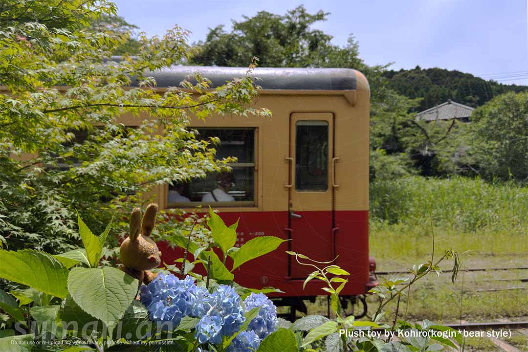 CH_Tails's tweet photo. おはぬーい( ´▵`)/ 
間もなく6月の2/3を消化するぞ。この事実、恐怖しか感じられないのだが、皆様如何お過ごしですか？ 

今日のおは写【梅雨の晴れ間のローカル線】ぬいぐるみは、こひろ/kogin＊bear style( @kurosuke3796 )様の作品です。 #ぬいぐるみ #ぬい撮り #ぬいぐるみの時間 https://t.co/2fOF5edMq3
