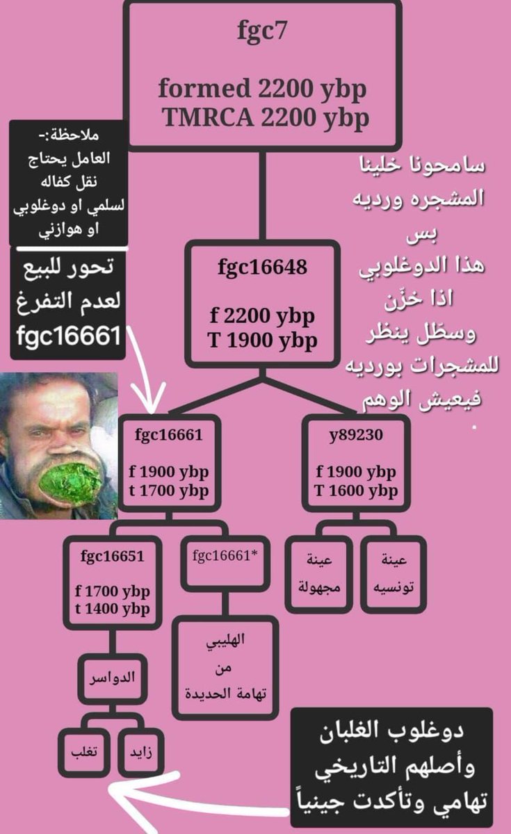 BnGhanm755549's tweet photo. @qpdbqbdb نريد شرح لهذه المشجرة لو سمحت ⬇️ 

ماهو الاسقاط المناسب للتحور؟ https://t.co/vwEEhB2Q3v