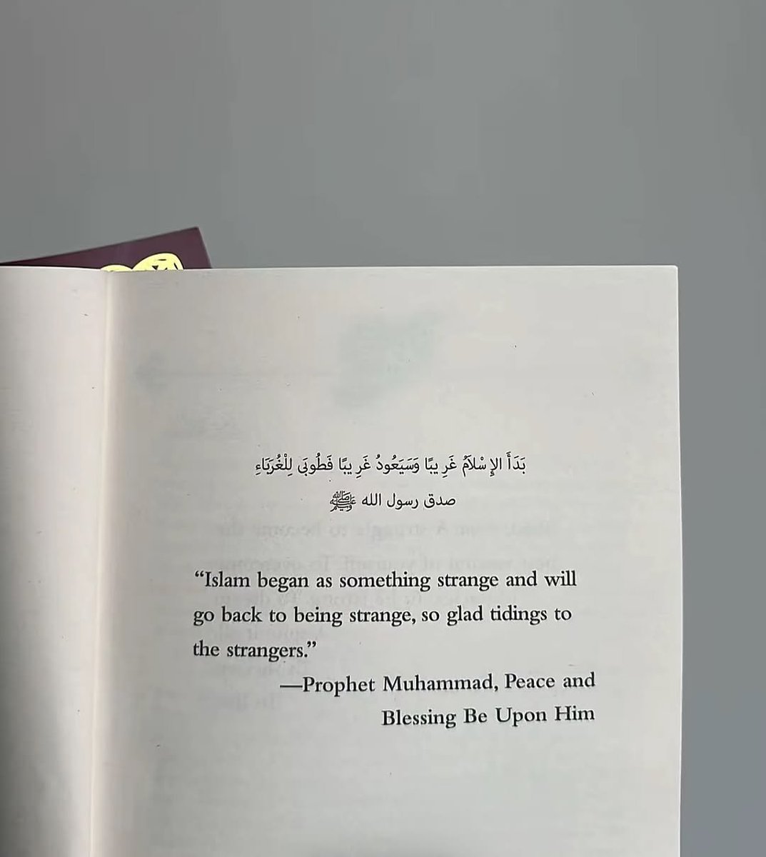 Al__Quraan's tweet photo. “Praise to the strangers. The Prophet ﷺ promised a great reward and Paradise for ‘the strangers’ who hold firmly to the faith and Sunnah, when the rest of society has abandoned and corrupted those values” 

—— Sahih Muslim 146. https://t.co/CJZVnodXfA