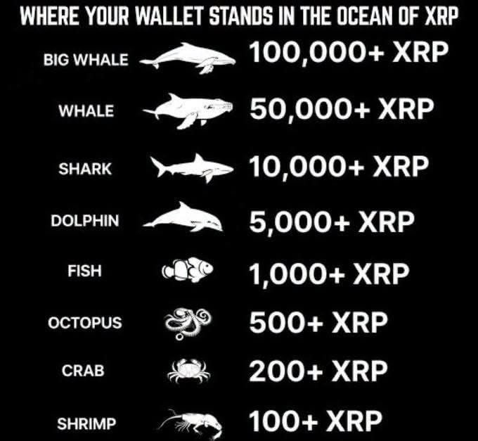 ManeeshChatxrp's tweet photo. I am SHARK ๐ฆ
Be honestโwhat level do you fit into in the $XRP ecosystem?
๐ Whale
๐ Big Fish
๐ Average Holder
๐ก Just here for the memes
Drop your tier below ๐
#XRP #Ripple #CryptoInvesting #WhaleWatch #HODL https://t.co/G3BjK3UwVq