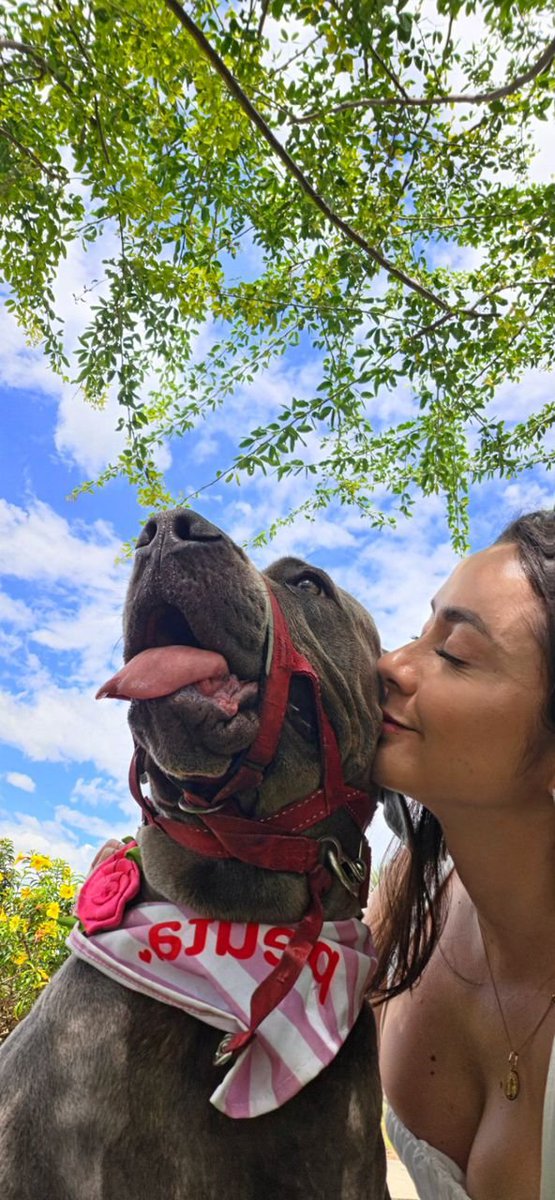 CredasPawhub's tweet photo. Zoo model who gives pleasure to her dogs 🐾 because she likes it so much. Dogs do it better 💯💦 join the fur family now 👉👉https://t.co/mWz2svH7vU… https://t.co/AOismfbR4E