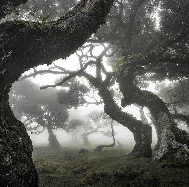 fallenxxcastiel's tweet photo. As primeiras 4 fotos quando voce abre o pinterest sao sua vibe https://t.co/6s0aUbpSm0