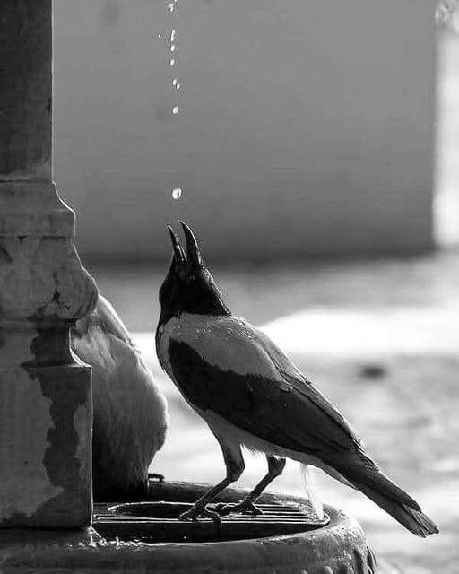 TI9Il's tweet photo. "يُدبِِّر الأمر بينمَا أنت غـارق في قلقك." https://t.co/OLqSk0oO0i