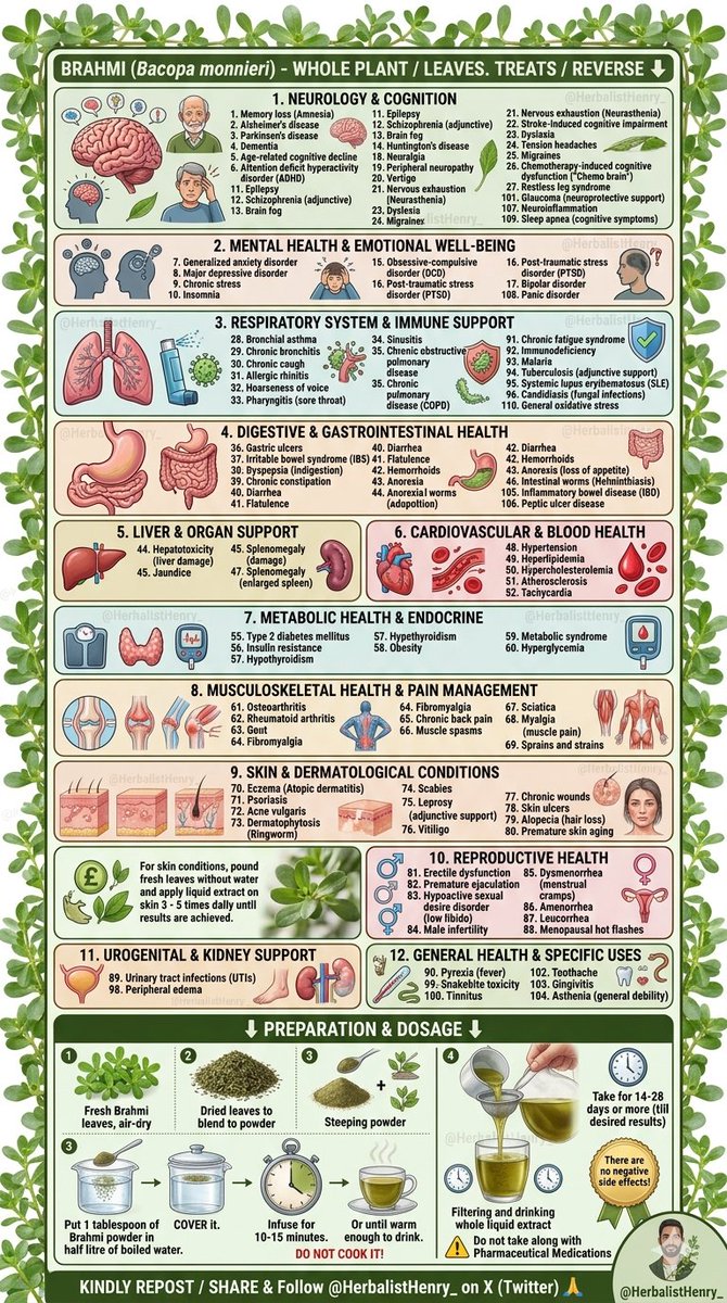 HerbalistHenry_'s tweet photo. Brahmi (Bacopa monnieri) - WHOLE PLANT / LEAVES ☘️

 TREATS / REVERSE ⬇️

 1. Memory loss (Amnesia)
 2. Alzheimer's disease
 3. Parkinson's disease
 4. Dementia
 5. Age-related cognitive decline
 6. Attention deficit hyperactivity disorder (ADHD)
 7. Generalized anxiety disorder
 8. Major depressive disorder
 9. Chronic stress
 10. Insomnia
 11. Epilepsy
 12. Schizophrenia (adjunctive)
 13. Brain fog
 14. Huntington's disease
 15. Obsessive-compulsive disorder (OCD)
 16. Post-traumatic stress disorder (PTSD)
 17. Bipolar disorder
 18. Neuralgia
 19. Peripheral neuropathy
 20. Vertigo
 21. Nervous exhaustion (Neurasthenia)
 22. Stroke-induced cognitive impairment
 23. Dyslexia
 24. Tension headaches
 25. Migraines
 26. Chemotherapy-induced cognitive dysfunction ("Chemo brain")
 27. Restless leg syndrome
 28. Bronchial asthma
 29. Chronic bronchitis
 30. Chronic cough
 31. Allergic rhinitis
 32. Hoarseness of voice
 33. Pharyngitis (sore throat)
 34. Sinusitis
 35. Chronic obstructive pulmonary disease (COPD)
 36. Gastric ulcers
 37. Irritable bowel syndrome (IBS)
 38. Dyspepsia (indigestion)
 39. Chronic constipation
 40. Diarrhea
 41. Flatulence
 42. Hemorrhoids
 43. Anorexia (loss of appetite)
 44. Hepatotoxicity (liver damage)
 45. Jaundice
 46. Intestinal worms (Helminthiasis)
 47. Splenomegaly (enlarged spleen)
 48. Hypertension
 49. Hyperlipidemia
 50. Hypercholesterolemia
 51. Atherosclerosis
 52. Tachycardia
 53. Cardiac arrhythmia
 54. Palpitations
 55. Type 2 diabetes mellitus
 56. Insulin resistance
 57. Hypothyroidism
 58. Obesity
 59. Metabolic syndrome
 60. Hyperglycemia
 61. Osteoarthritis
 62. Rheumatoid arthritis
 63. Gout
 64. Fibromyalgia
 65. Chronic back pain
 66. Muscle spasms
 67. Sciatica
 68. Myalgia (muscle pain)
 69. Sprains and strains
 70. Eczema (Atopic dermatitis)
 71. Psoriasis
 72. Acne vulgaris
 73. Dermatophytosis (Ringworm)
 74. Scabies
 75. Leprosy (adjunctive support)
 76. Vitiligo
 77. Chronic wounds
 78. Skin ulcers
 79. Alopecia (hair loss)
 80. Premature skin aging
 81. Erectile dysfunction
 82. Premature ejaculation
 83. Hypoactive sexual desire disorder (low libido)
 84. Male infertility
 85. Dysmenorrhea (menstrual cramps)
 86. Amenorrhea
 87. Leucorrhea
 88. Menopausal hot flashes
 89. Urinary tract infections (UTIs)
 90. Pyrexia (fever)
 91. Chronic fatigue syndrome
 92. Immunodeficiency
 93. Malaria
 94. Tuberculosis (adjunctive support)
 95. Systemic lupus erythematosus (SLE)
 96. Candidiasis (fungal infections)
 97. Anemia
 98. Peripheral edema
 99. Snakebite toxicity
 100. Tinnitus
 101. Glaucoma (neuroprotective support)
 102. Toothache
 103. Gingivitis
 104. Asthenia (general debility)
 105. Inflammatory bowel disease (IBD)
 106. Peptic ulcer disease
 107. Neuroinflammation
 108. Panic disorder
 109. Sleep apnea (cognitive symptoms)
 110. General oxidative stress

Preparation & Dosage ⬇️ 
Get   Brahmi (Bacopa monnieri) - WHOLE PLANT / LEAVES   in  Bulk, air-dry and blend bulk to POWDER

STEEP / SOAK  1  (ONE)  Tablespoon of  BITTER KOLA SEEDS / NUTS  Powder Inside half litre of boiled water, COVER  it and allow infuse for  10 - 15  minutes or until warm enough to drink. 
DO NOT COOK IT!
Filter / Sieve & drink whole liquid extract.
Do this once daily. 

You can take it for 14  -  28 days or more ( till you get desired results)
There are no negative side effects! 
⚠️ Do not take along with Pharmaceutical Medications 

For skin conditions, pound fresh leaves without water and apply liquid extract on skin 3 - 5  times daily  until results are achieved. 

KINDLY  REPOST / SHARE  &  Follow @HerbalistHenry_  on  X (Twitter)  🙏