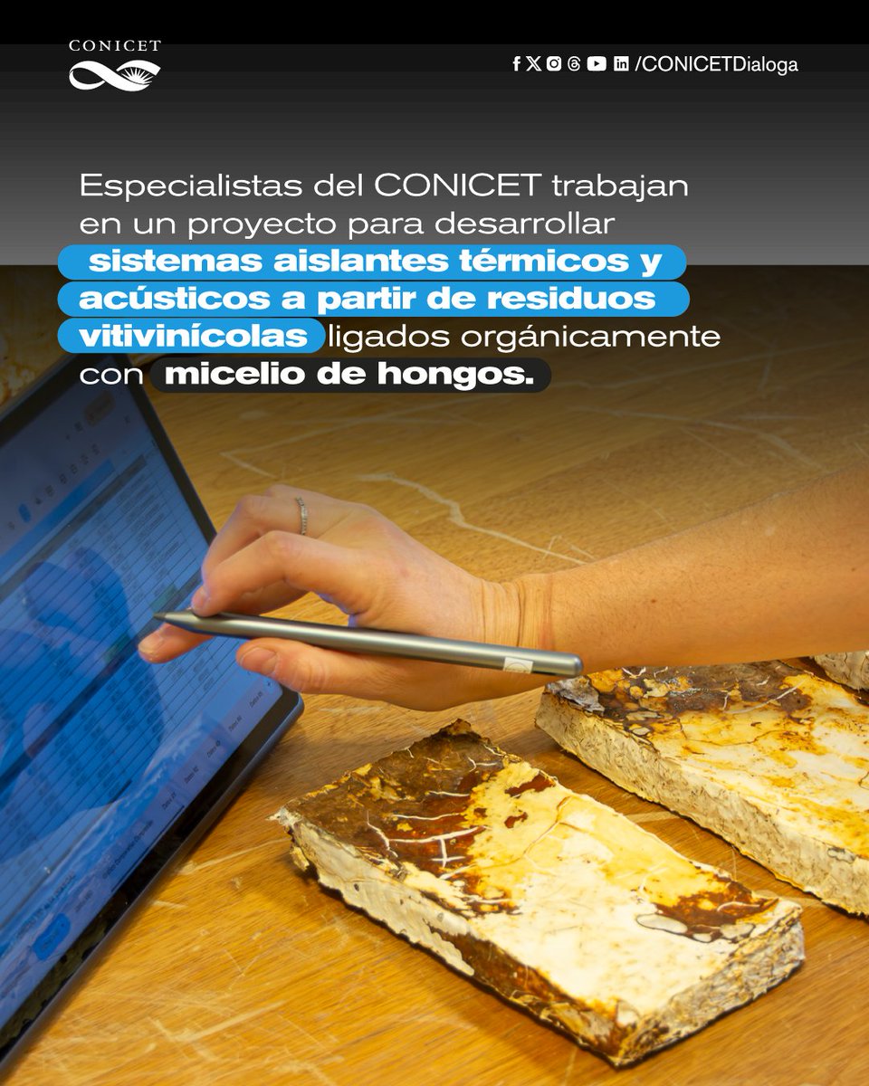 CONICETDialoga's tweet photo. 👉Además de la producción del material, el proyecto contempla el análisis de sus propiedades físicas, químicas y mecánicas, y el diseño de prototipos que faciliten su aplicación en sistemas constructivos. https://t.co/zZSTYBkePp
