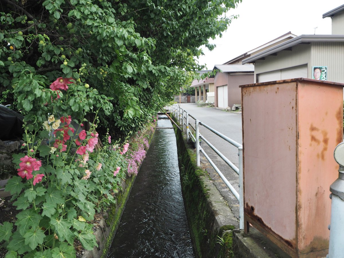 _qulnp_'s tweet photo. 滋賀県の湖北、木の本へ

水路が生活の中に息づいていてとても良かった https://t.co/KeVjJBKitE