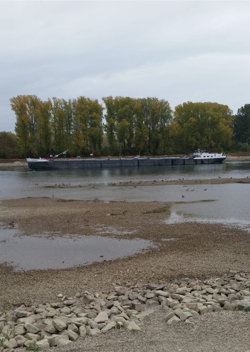 BerndSehnke's tweet photo. @solarpapst @HamCurly In 2018 wurde auch Philipsburg schon etwas gedrosselt. 
Da hätte ich fast zu Fuß über den Rhein laufen können. https://t.co/hrbkYMbOCU