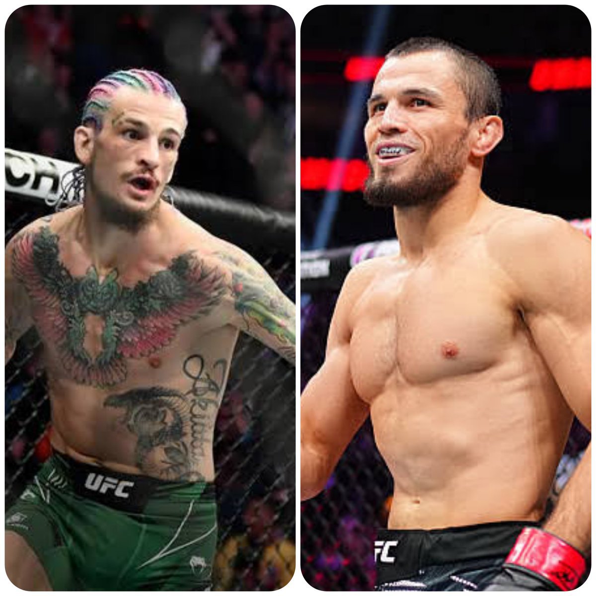 MMA Fan Wars 🎩⚔️⚔️ tweet media