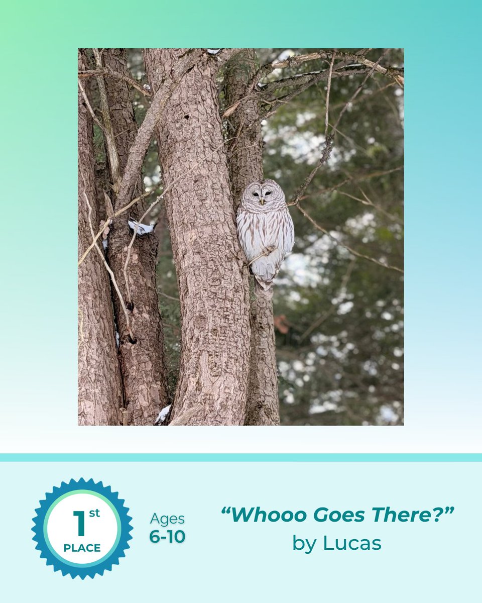 EcoSchoolsCAN's tweet photo. 📸✨ Congratulations to the 2025–26 Bondar Challenge winners!

This year we received over 700 submissions, our highest number ever! Explore the winning photographs and artist statements at https://t.co/HM5g7xojv2

Proudly presented in collaboration with @RBondarFdn @edgeimaging https://t.co/FdJnduQBxs