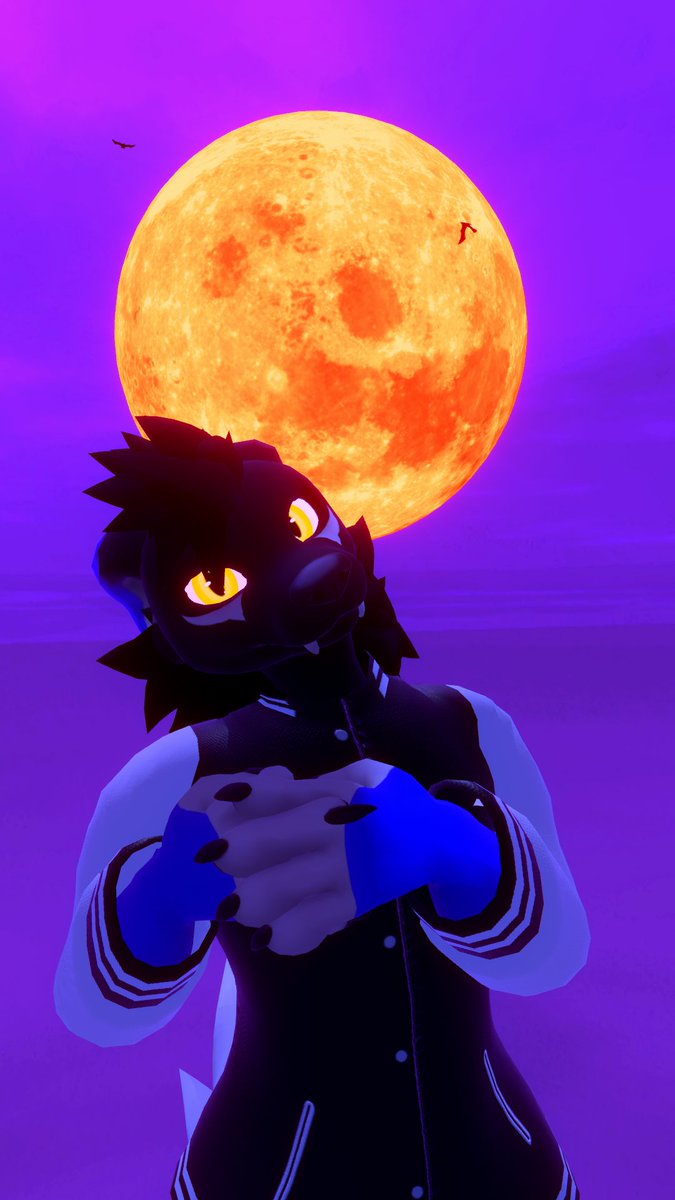 Duskwolf1's tweet photo. @Reval_Dev The Vulper was the first custom avi I got ^^ I still love and use this bean to! I wanna get a City Wolf a bit later on. I love the look of them! <3 https://t.co/ldq6bRjkbj