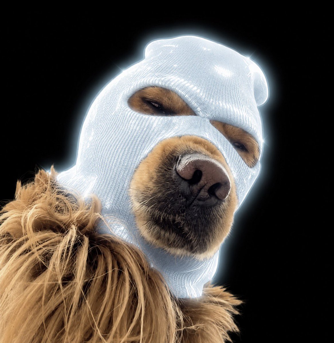 SpectrumXBT's tweet photo. i like this $ski dog

send it higher

H4chsqkobEKjjiAt7r3TLJvp7qprR6aasjJFtkQcAqun https://t.co/ZWxorXfdLl