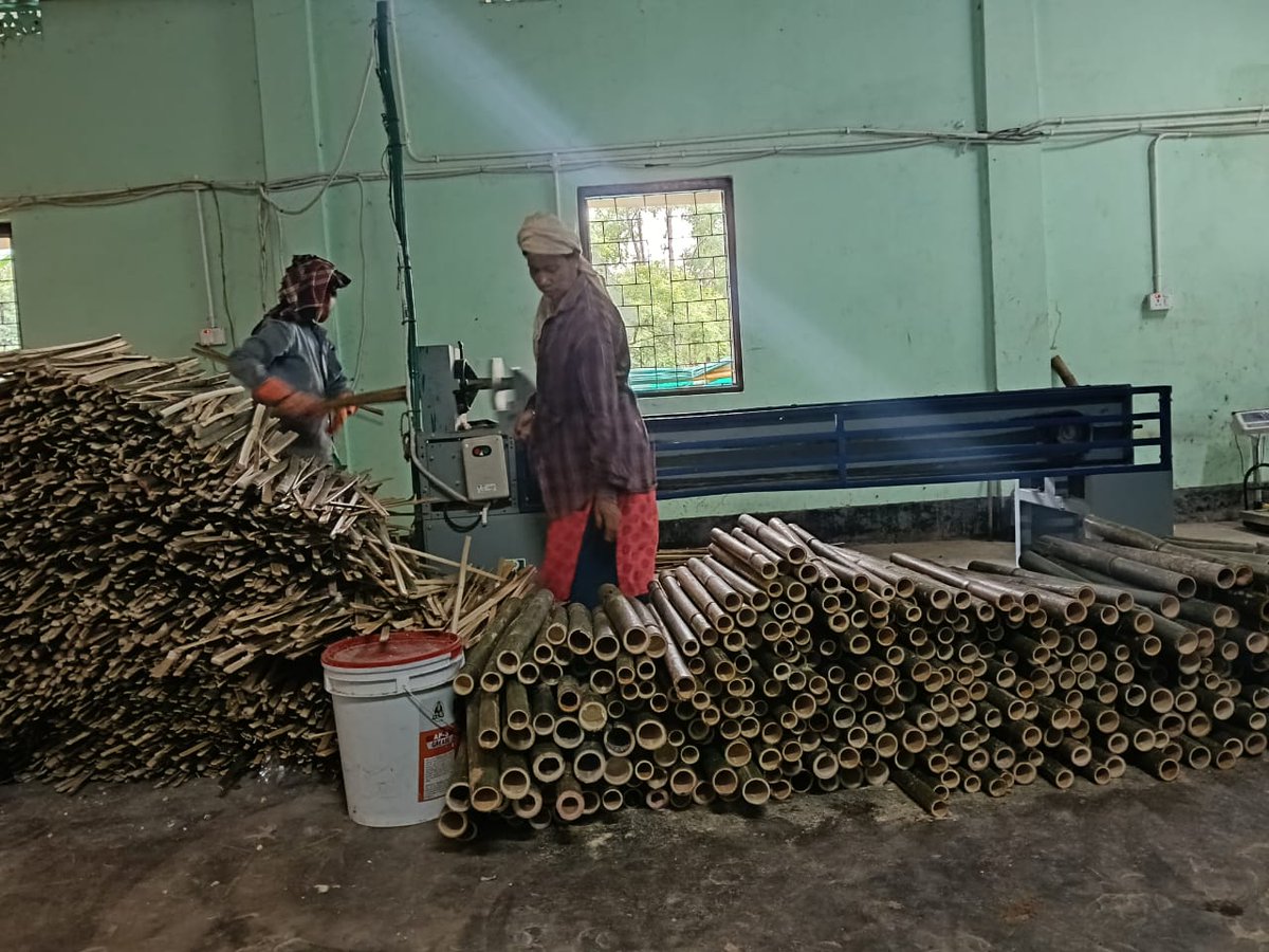 CreflatIgdc's tweet photo. The members of Manu FFPC under IGDC CREFLAT Project voluntarily initiated bamboo split processing activities at the Bamboo Processing Centre. https://t.co/oHRsjsfsPH