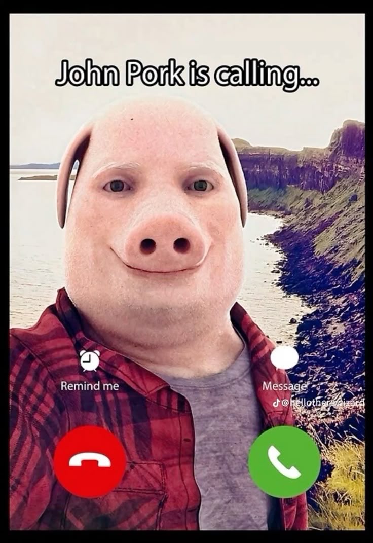 worldcryptog's tweet photo. I don’t care what I’m doing, when John Pork is calling, I HAVE to answer. Next stop: the moon! 🐷📈 $PORK https://t.co/jlqsOXiL4n